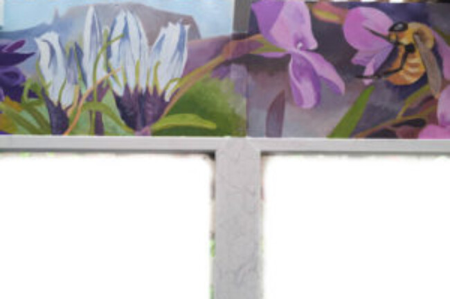 Gene Langlois mural, Mountain Gentian and Fireweed, 2015