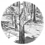 Round Forest, Boulder, 1996