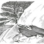 Marshall Mesa, Boulder 1993