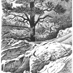 Mt. Sanitas, Boulder, 1993