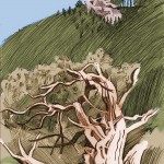 Flagstaff Mountain, Boulder, 2005