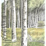 Maroon Bells Wilderness, Colorado, 1996