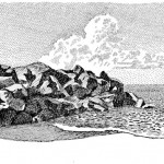 Coolangata, Australia, 1988