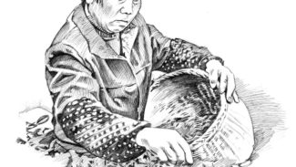 Picking Tea, Hangzhou, China, 2003, pen-and-ink
