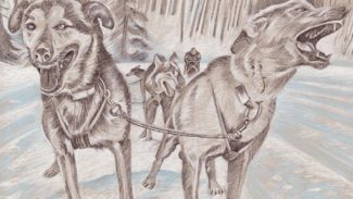 Mountain Paws Dogsled team, February 2019