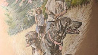 Dog walk, 2020