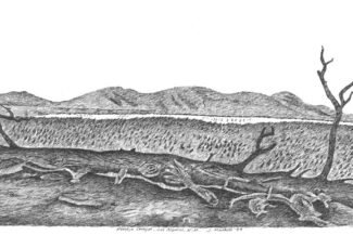 Rendija Canyon, Los Alamos, pen-and-ink, 1994