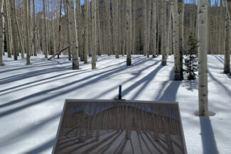 Below Hahn's Peak, CO, 2022