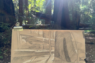 Hendy Woods State Park, CA July 29, 2023