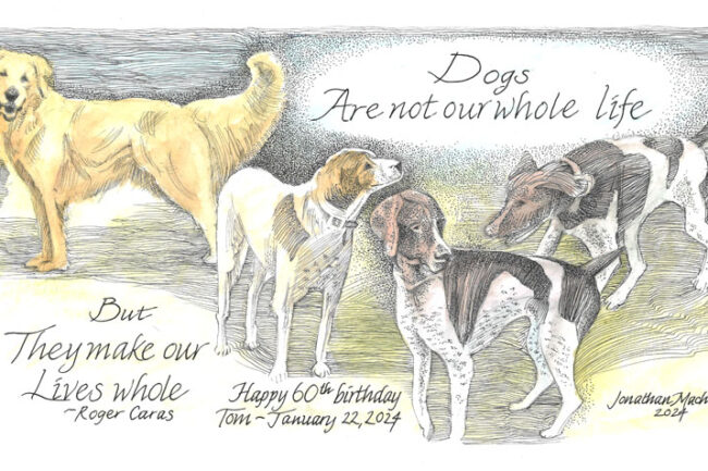 A pen-and-ink image of four dogs with the quote "Dogs are not our whole life, but they make our lives whole', by Jonathan Machen