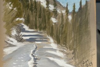 Path to the Mestaa'ehehe hut, November 2024