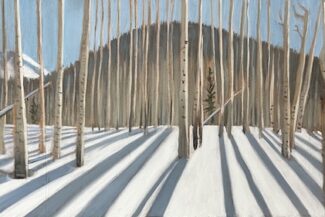 Hahns Peak Aspen grove, 2025